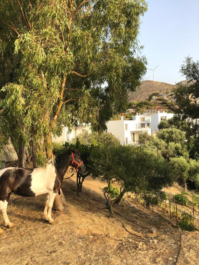 Mourtzanakis Residence - Traditional Eco Hotel In Akhládha Buitenkant foto